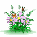you are here!...beautiful GARDENING WEBSITES......
